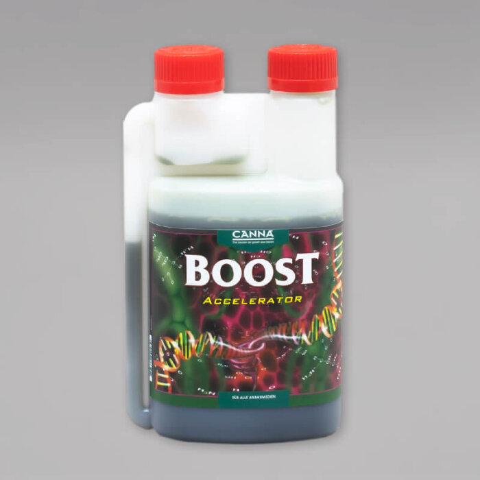 CANNA Boost 0,25L
