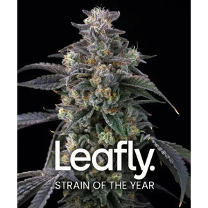 Barneys Farm Super Boof Fem 3St.