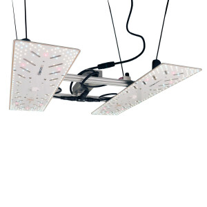 BloomStar Wingman 600L