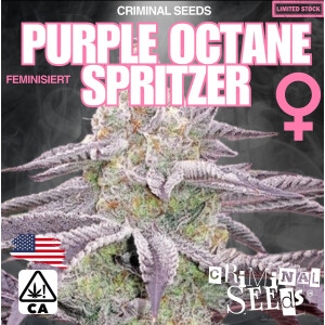 Criminal Seeds Purple Octane Spritzer Fem 3St.