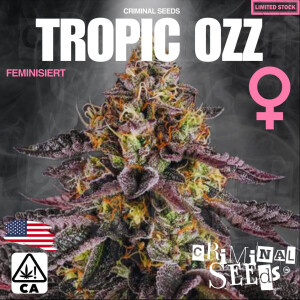 Criminal Seeds Trop Ozz Cali Limited Fem 3St.