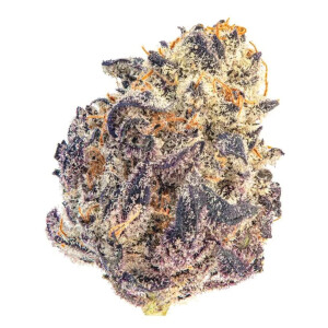 Growers Choice Cherry MAC Muffin Fem 3St.