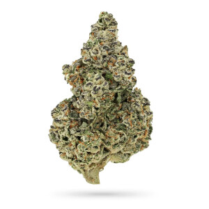 Growers Choice Crazy Roses Fast Version Fem 3St.