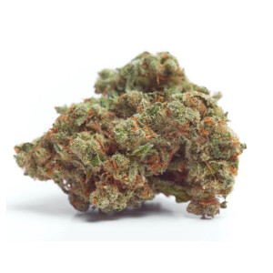 Growers Choice Gorilla Cookies Fem 3St.