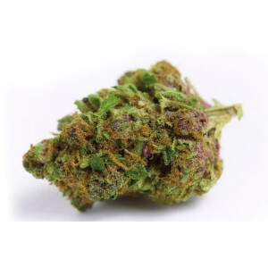 Growers Choice Red Banana Berry Fem 3St.