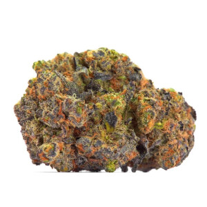 Growers Choice San Fernando Valley X Purps Fem 3St.