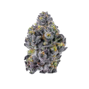 Growers Choice Sticky Wasabi Triploid Fem 3St.