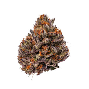 Growers Choice Tropicana Cherry Triploid Fem 3St.