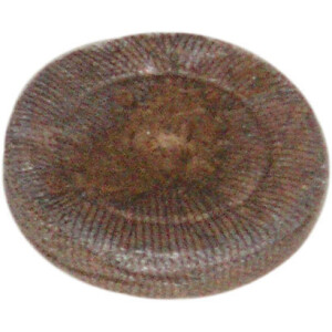 Jiffy Quelltöpfe Ø41mm