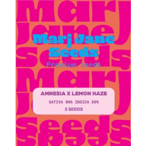 Amnesia X Lemon Haze - Marj Jane Feminisiert 3St.