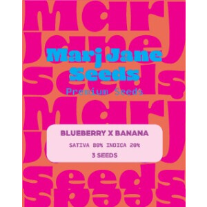Blueberry X Banana - Marj Jane Feminisiert 3St.