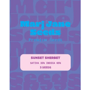 Sunset Sherbet - Marj Jane Feminisiert 3St.