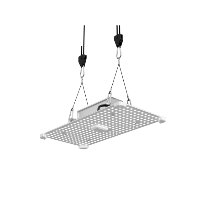 LUMii Black Blade LED, 100W, Wachstumsspektrum