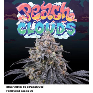 Perfect Tree Peach Clouds Fem 6St.