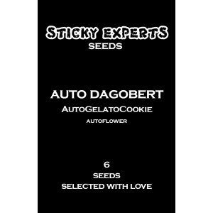 Sticky Experts Auto Dagobert GelatoGoCookie Fem 6St.