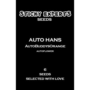 Sticky Experts Auto Hans BuddysOrange Fem 6St.