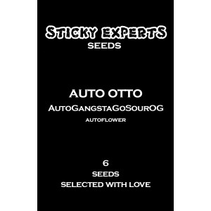 Sticky Experts Auto Otto GangstaGoSourOg Fem 6St.