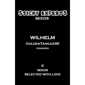 Sticky Experts Wilhelm GoldenTanga24K Fem 6St.