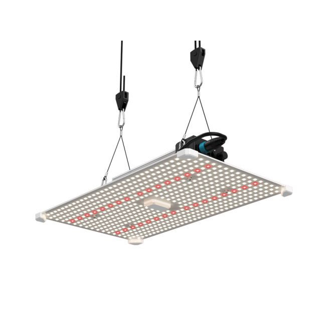 Lumii Black Blade 200W