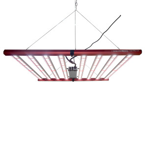 BloomStar Pro 720 3.0 DUAL-Spec