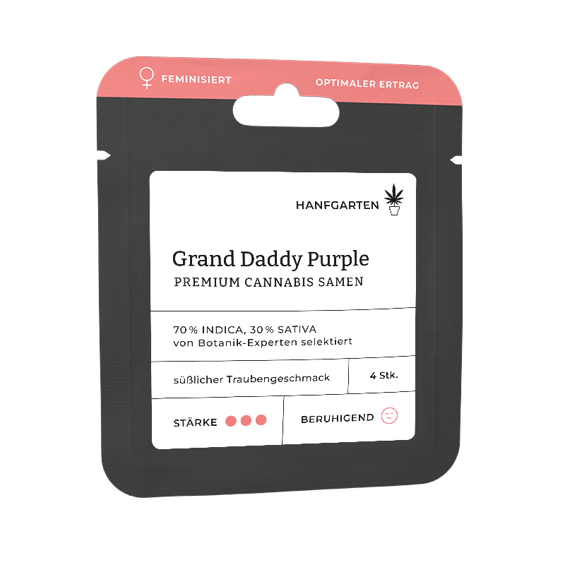Grand Daddy Purple (GDP) | Feminisiert