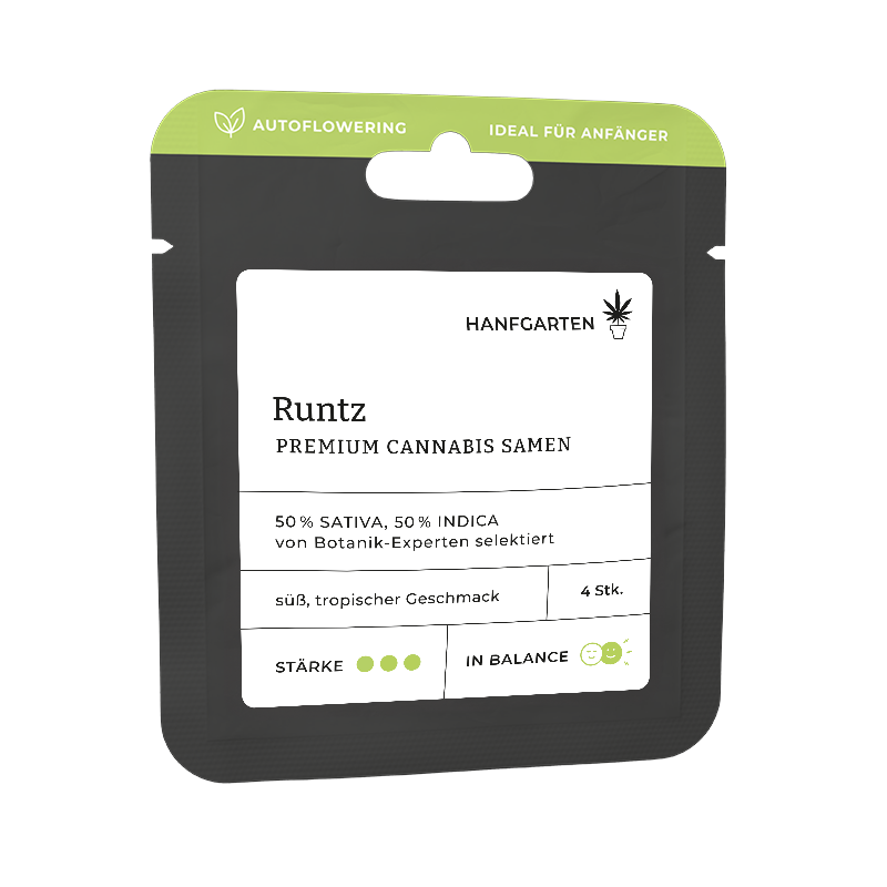 Runtz | Autoflowering