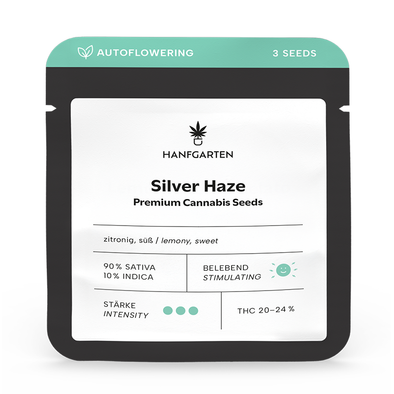 Silver Haze | Autoflowering
