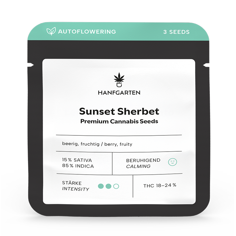 Sunset Sherbet | Autoflowering