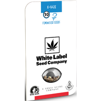 X Haze Feminisierte Hanfsamen von White Label, 3 Samen