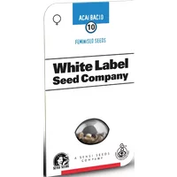 Acai Bacio Feminisierte Hanfsamen, 3 Samen