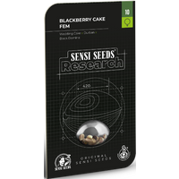 Blackberry Cake Feminisierte Hanfsamen, 3 Samen