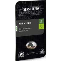N13 Kush Feminisierte Hanfsamen, 3 Samen