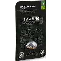 Mandarin Punch Automatic Hanfsamen, 3 Samen