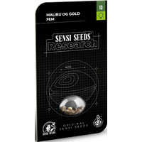 Malibu OG Gold Feminisierte Hanfsamen, 3 Samen