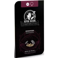 Dosimosa Feminisierte Hanfsamen, 3 Samen