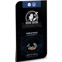 Purple Pickle Automatic Hanfsamen, 3 Samen