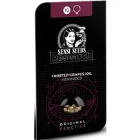 Frosted Grapes XXL Feminisierte Hanfsamen, 3 Samen