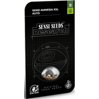 Sensi Amnesia XXL Automatic Hanfsamen, 1 Samen