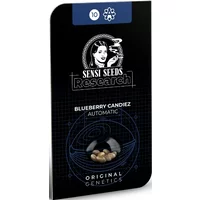 Blueberry Candiez Automatic Hanfsamen, 1 Samen