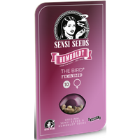 The Bird Feminisierte Hanfsamen, 3 Samen