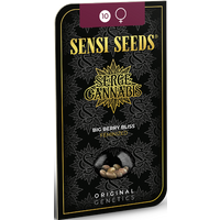 Big Berry Bliss Feminisierte Hanfsamen, 3 Samen