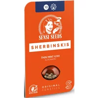 Thin Mint Kiwi Automatic Hanfsamen, 3 Samen