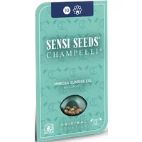 Mimosa Sunrise XXL Automatic Hanfsamen, 3 Samen