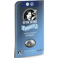Haze Dawg Automatic Hanfsamen, 3 Samen