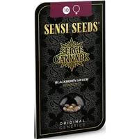 Blackberry Herer Feminisierte Hanfsamen, 3 Samen