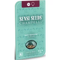 White Orangutan Feminisierte Hanfsamen, 3 Samen