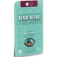 Gremlin's Breath Feminisierte Hanfsamen, 3 Samen