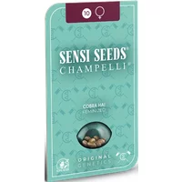 Cobra Hai Feminisierte Hanfsamen, 3 Samen