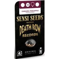 Caramel Pineapple Feminisierte Hanfsamen, 3 Samen
