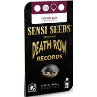 Dough Boy Feminisierte Hanfsamen, 3 Samen